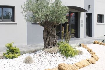 Le Centre de Médecine Esthétique Laser